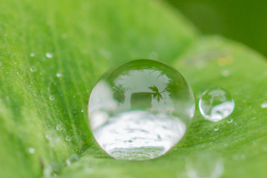 Spiegelungen in Wassertropfen