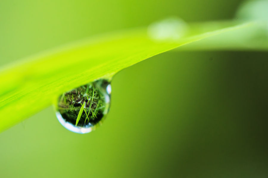 Wassertropfen