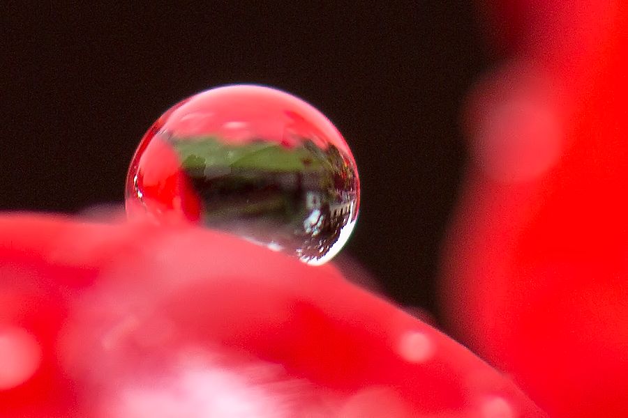 Wassertropfen mit Spiegelung