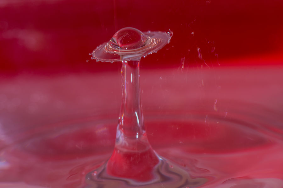 Wassertropfen auf Wassertropfen