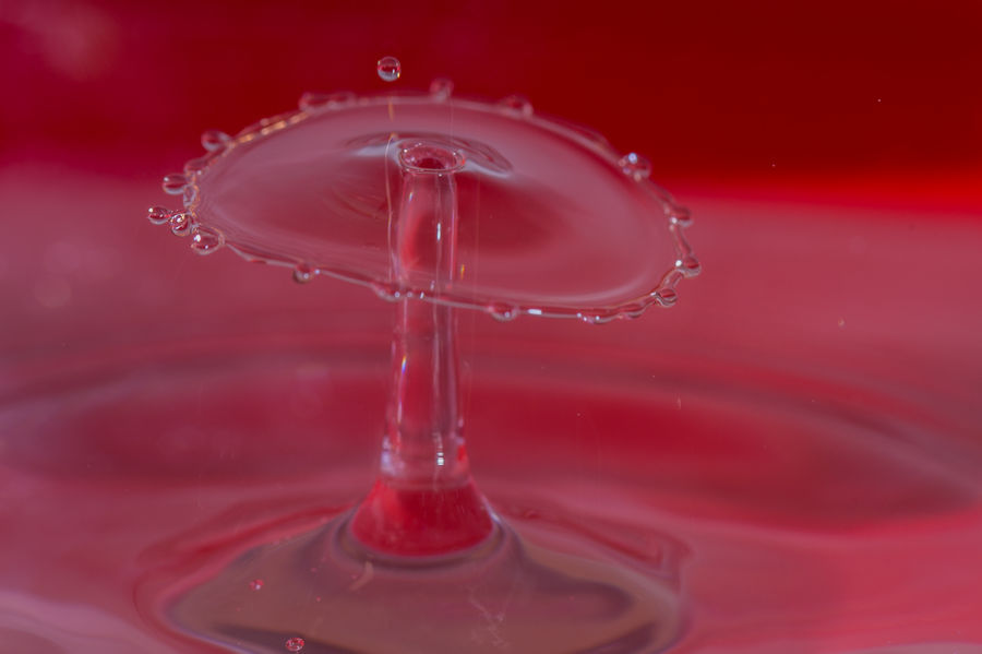 Wassertropfen auf Wassertropfen
