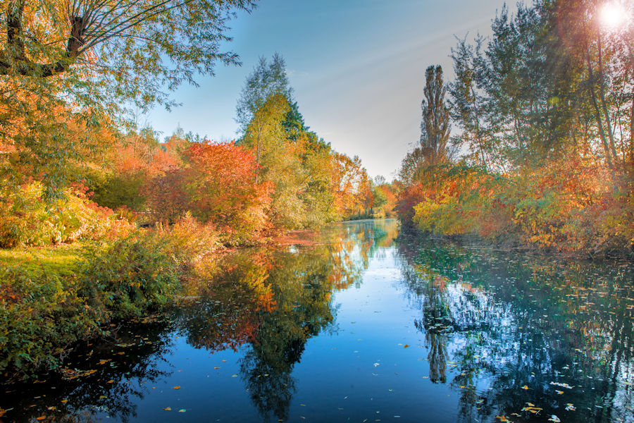 Herbst an der Brenz im Brenzpark