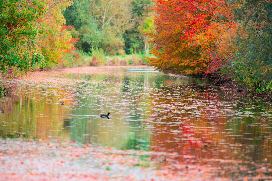 Herbst beim Kocher