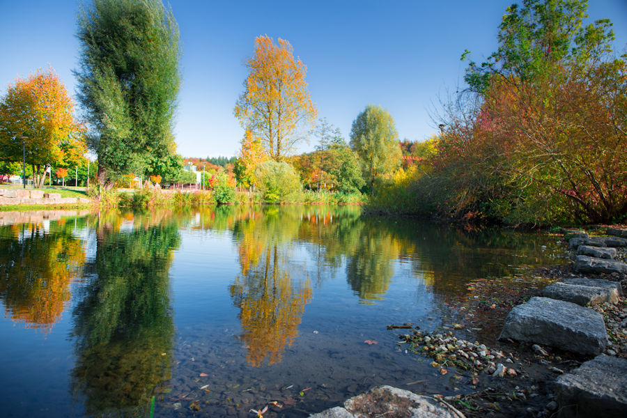 Herbst im Brenzpark