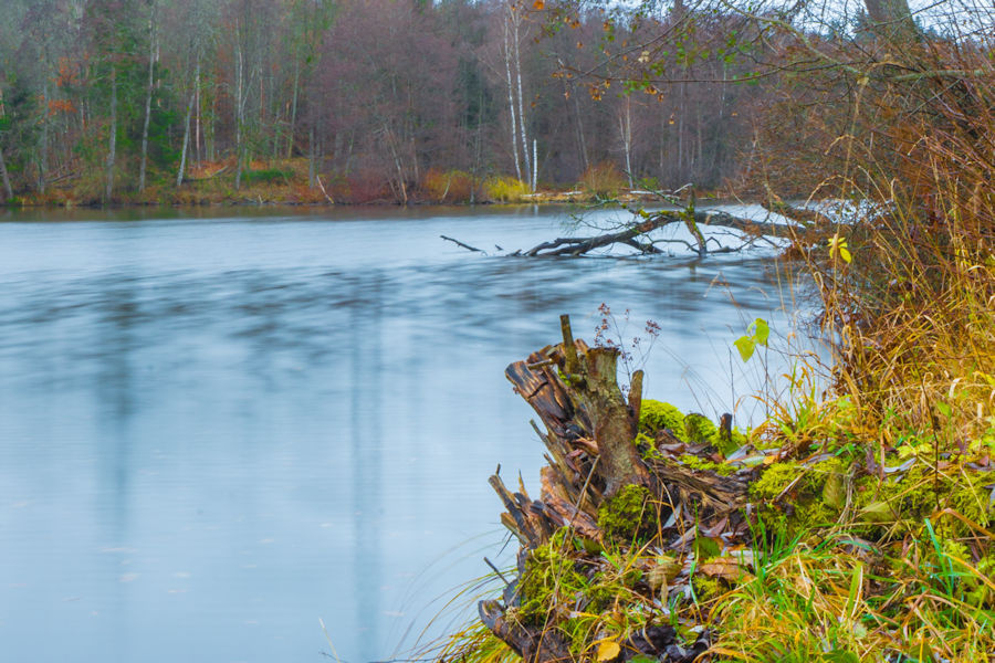 Sägweiher