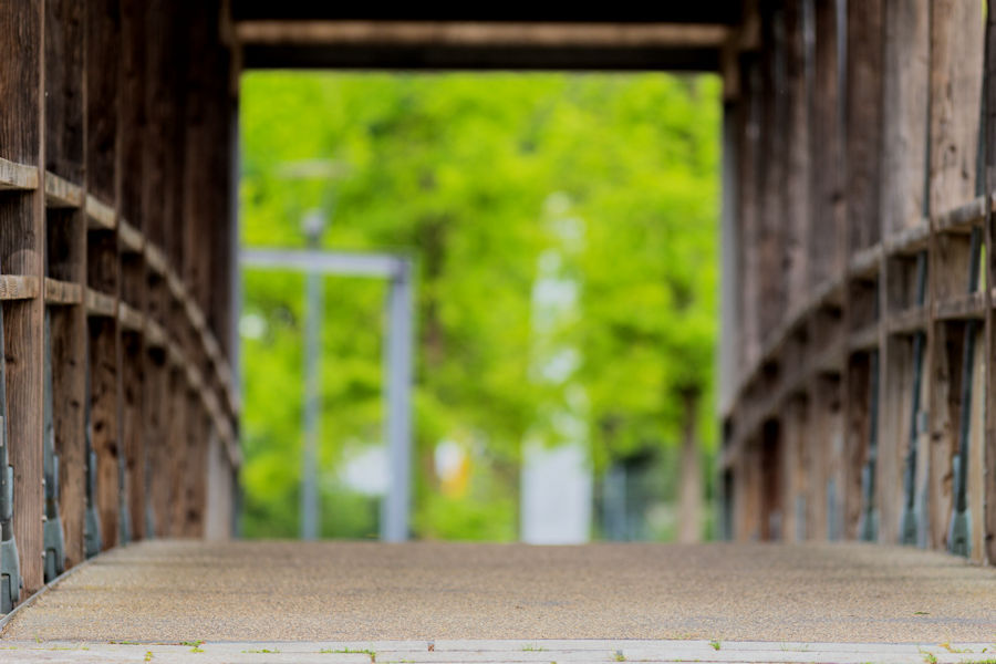 Brücke über die Brenz im Brenzpark