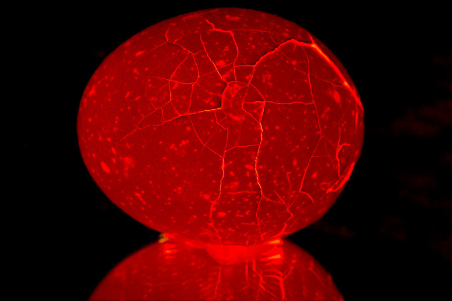 Ei mit Licht von hinten und Spiegelung