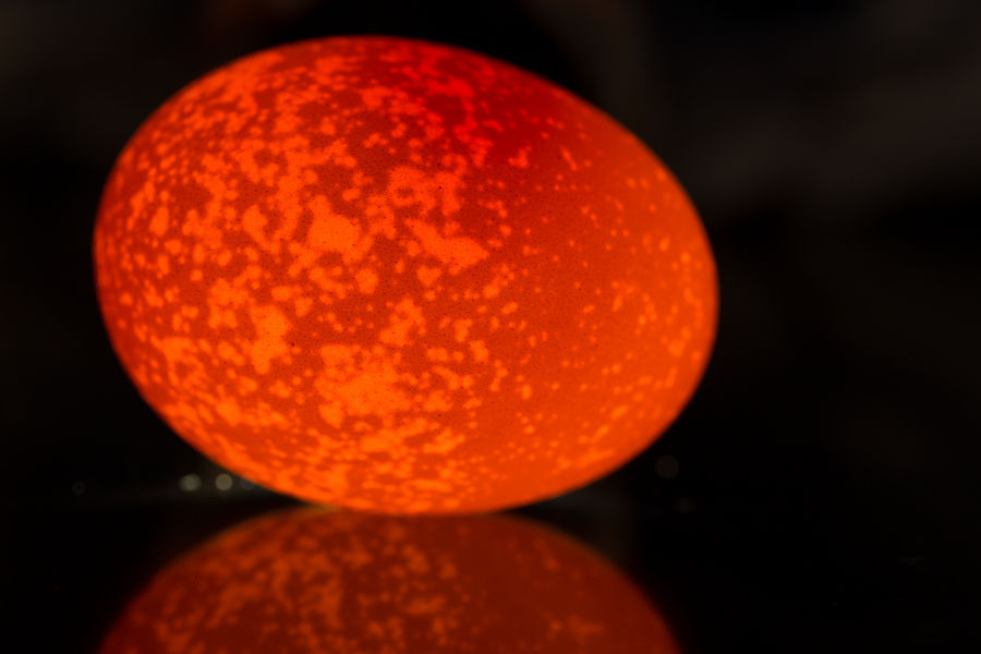 Ei von hinten durchleuchtet mit Spiegelung
