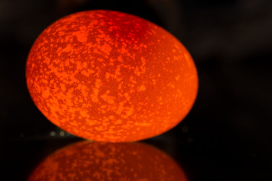 Ei von hinten durchleuchtet mit Spiegelung