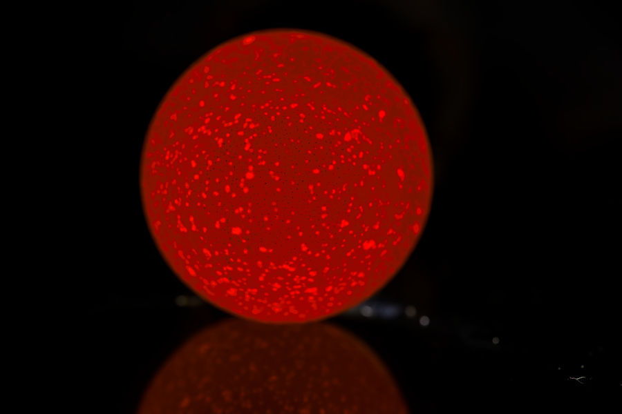 Ei von hinten durchleuchtet mit Spiegelung