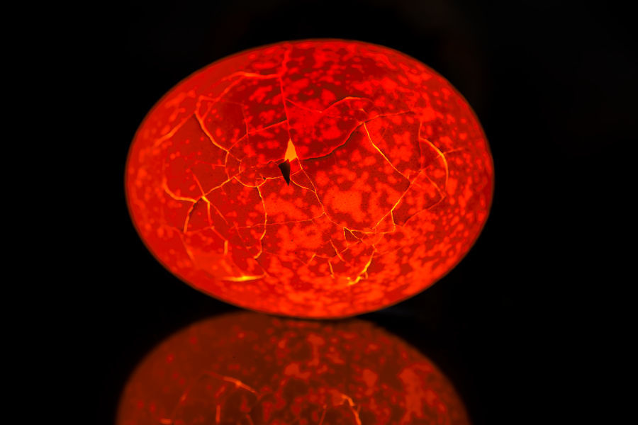 Ei von hinten durchleuchtet mit Spiegelung