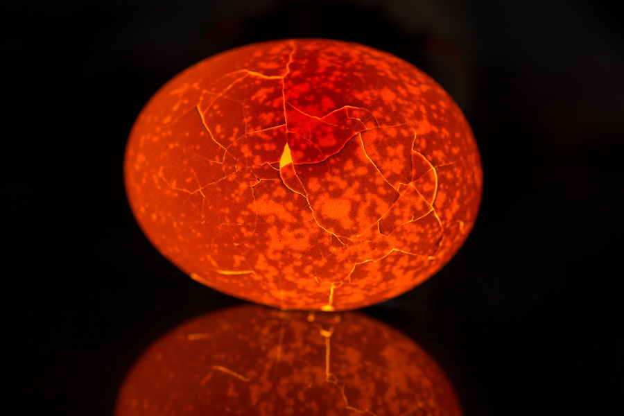 Ei von hinten durchleuchtet mit Spiegelung