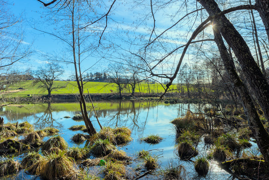 Espachweiher