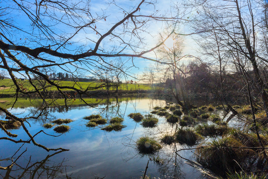 Espachweiher