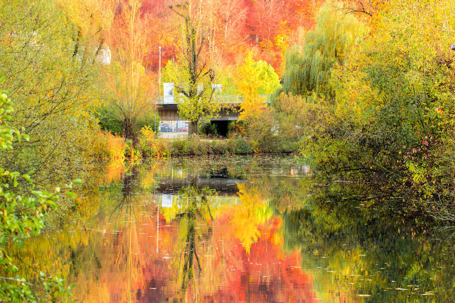 Herbst an der Brenz