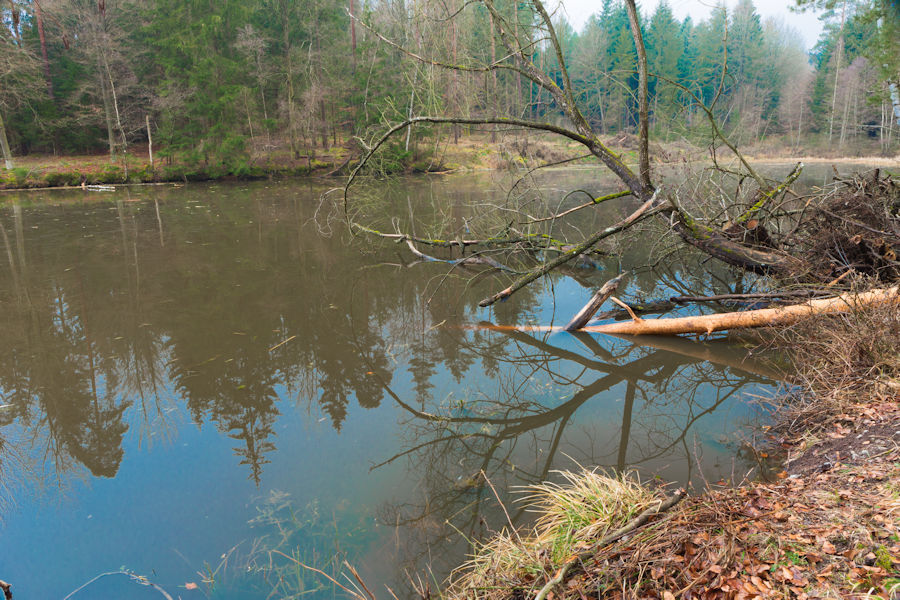 Kleiner See zwischen Altmannrot und Gaishardt