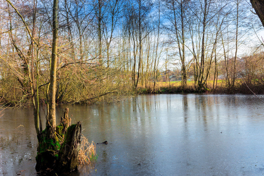 Zugefrorener Weiher beim Kocher in der Nähe von Waiblingen
