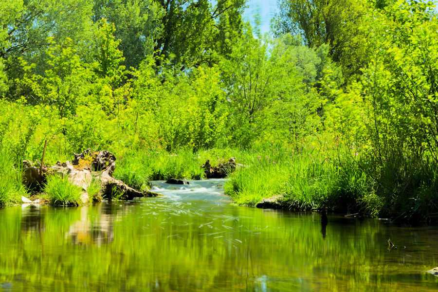 beim Kocher zwischen Hüttlingen und Wasseralfingen