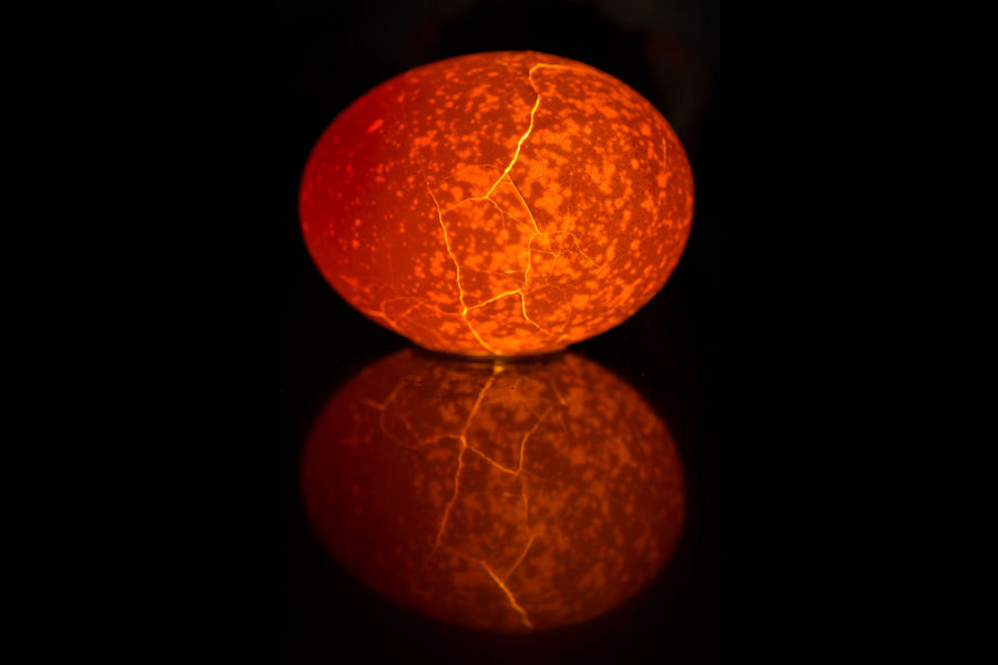 Ei von hinten durchleuchtet mit Spiegelung
