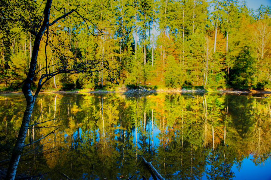 Herbstliche Spiegelungen am namenlosen See