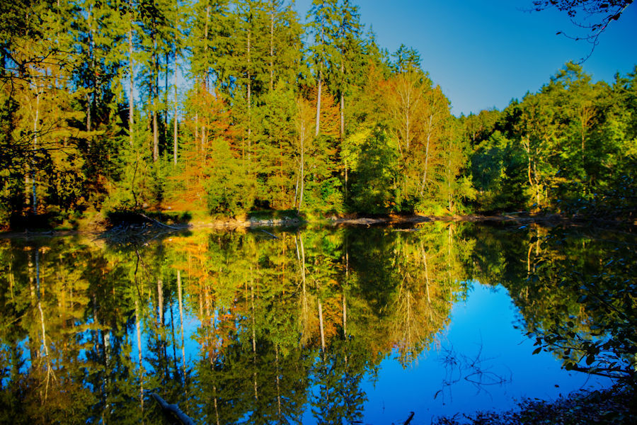 Herbstliche Spiegelungen am namenlosen See