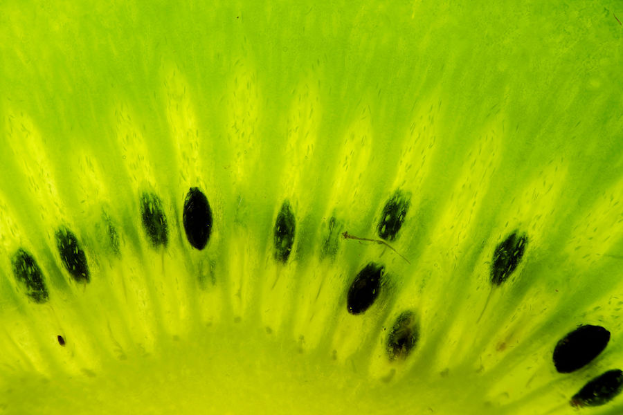 Kiwi