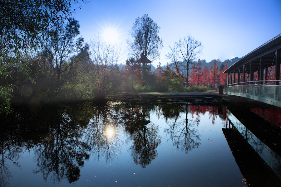 Strahlender Sonnenschein im Brenzpark