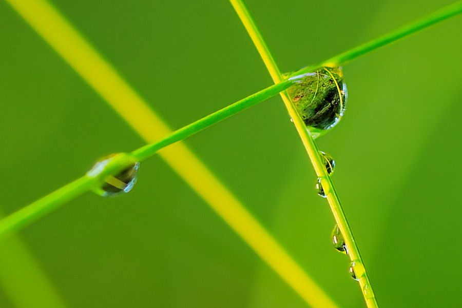 Wassertropfen