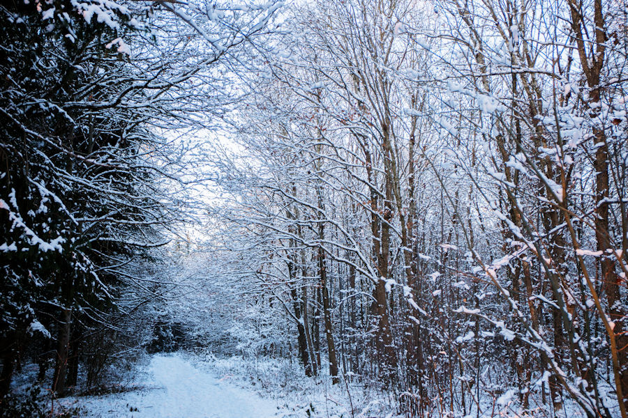 Winter