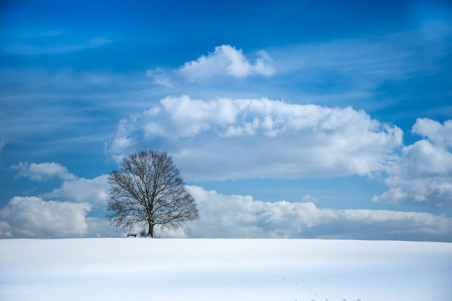 Winterlandschaft