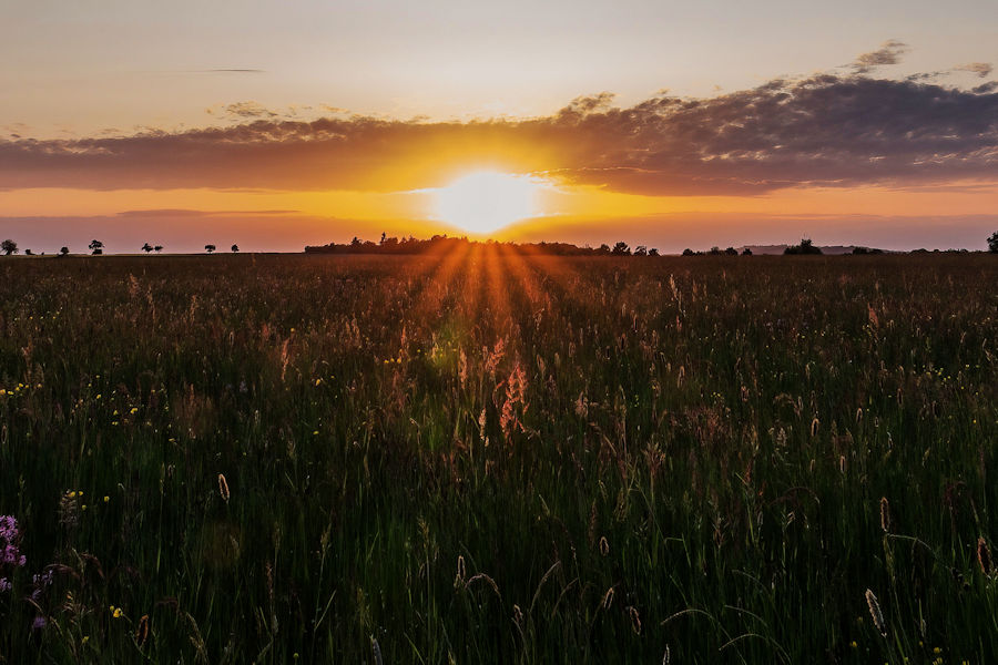 Kurz vor Sonnenuntergang