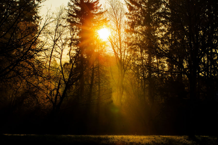 Morgens kurz nach Sonnenaufgang