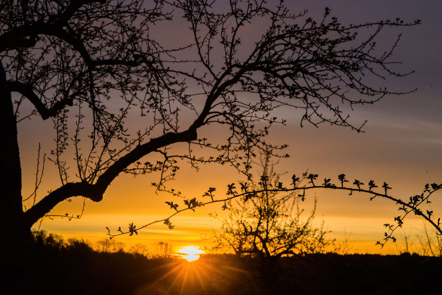 Sonnenaufgang