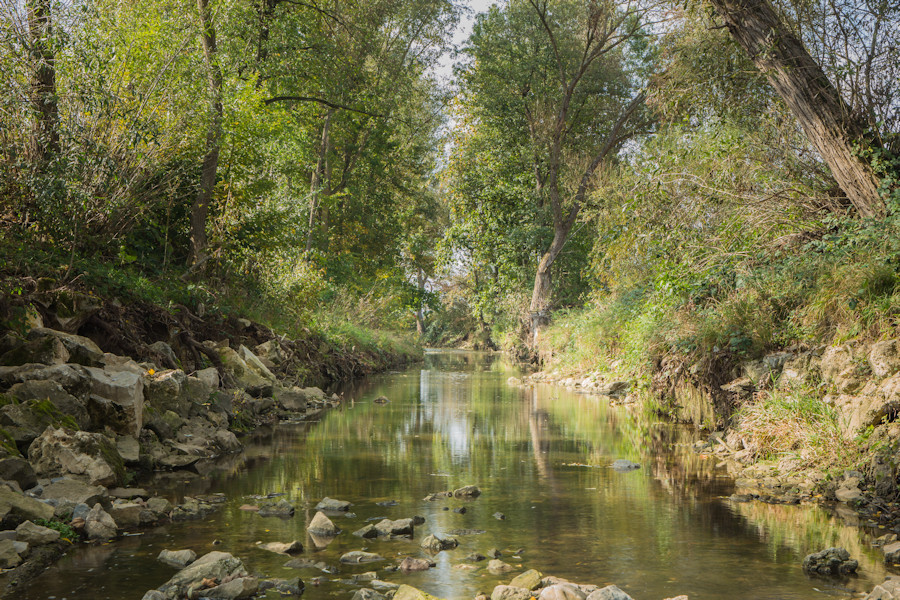 Kocher bei Waiblingen