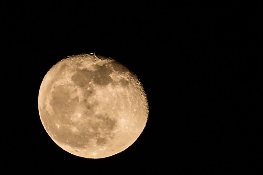Mond