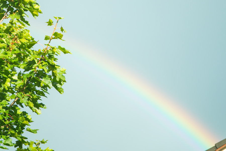 Regenbogen