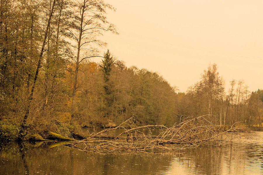 Sägweiher
