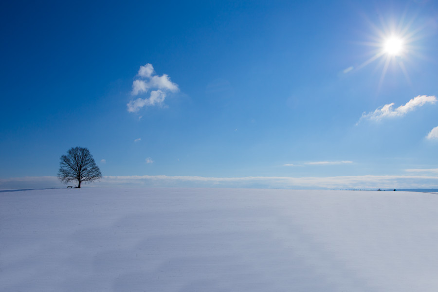 Winter