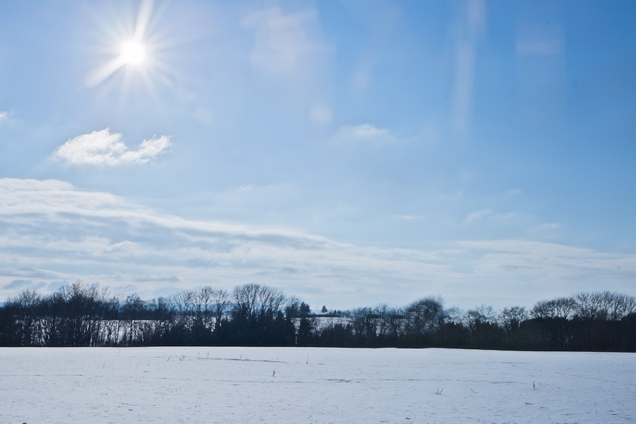 Winter