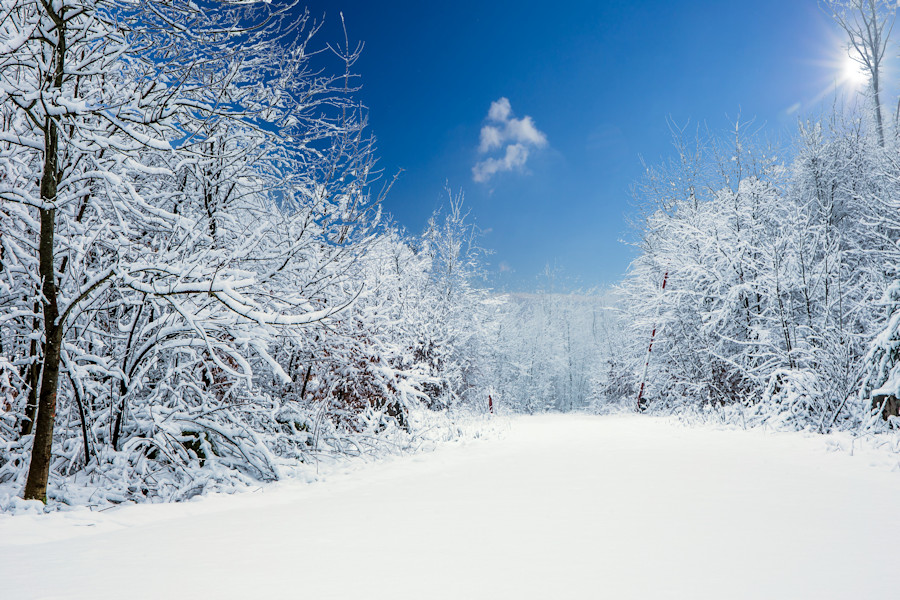 Winter