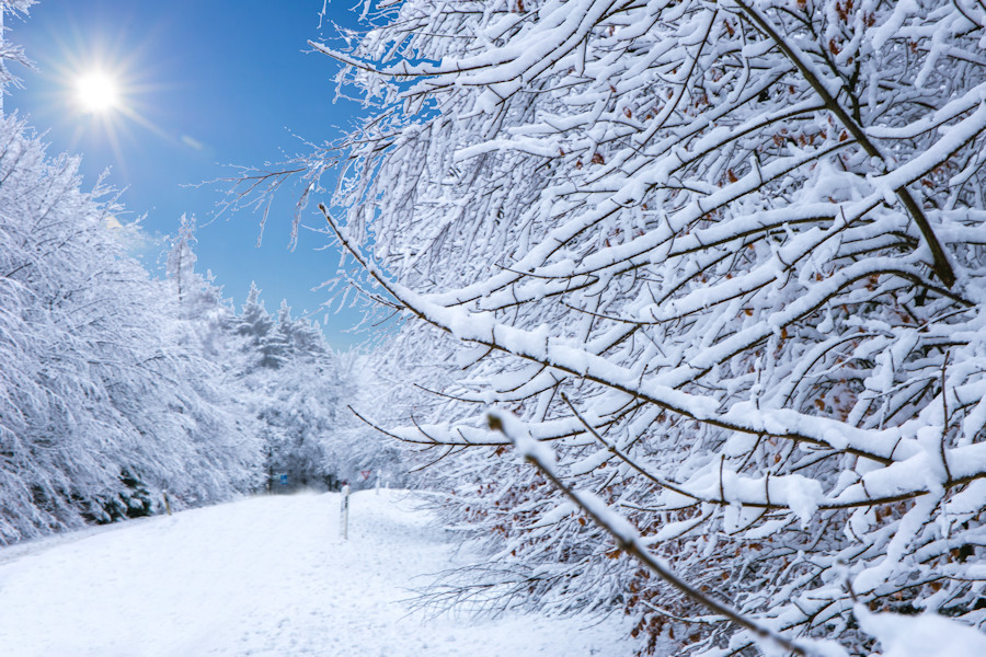 Winter