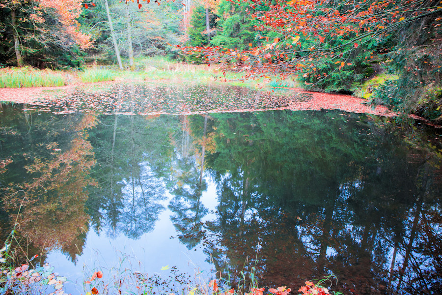 kleiner Tümpel beim Sägweiher