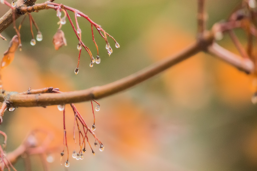 nach dem Regen